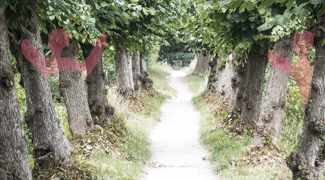 Intervisie en introspectie in de politiek – Hoe doe je dat?