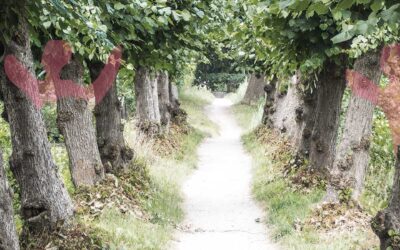 Intervisie en introspectie in de politiek – Hoe doe je dat?