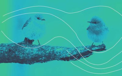 Opmerken, observeren en onderzoeken – 4 tips en twee boeken